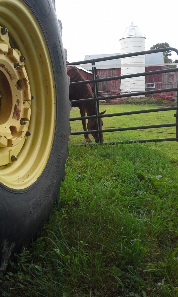 Farm colors