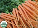 Carrots (Bunch of 5-6)